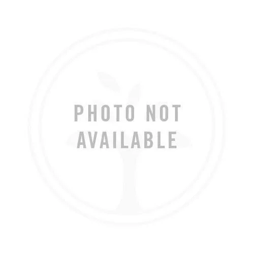 Photo of Tyler Phillips