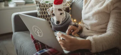Woman online shopping