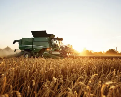 Combine cutting wheat