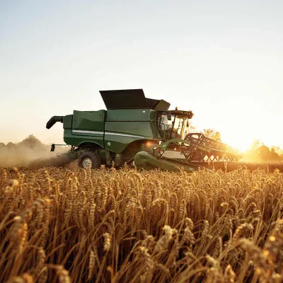 Combine harvesting wheat