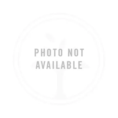 Photo of Elle Prewitt Timson