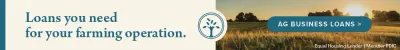 AG business loan banner ad