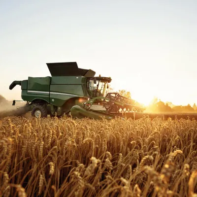 Combine cutting wheat